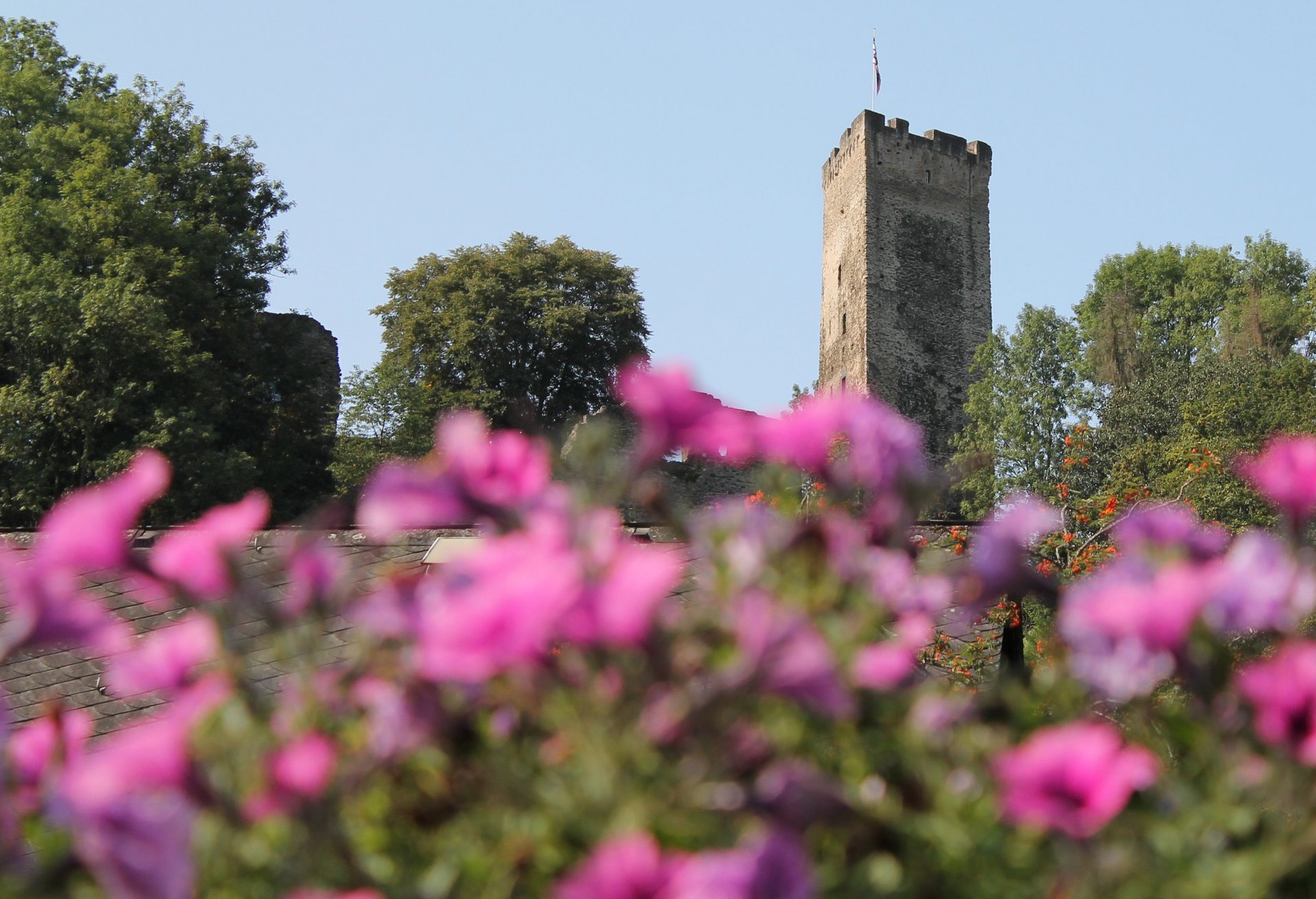 Ein historischer Turm vor einer Kulisse aus bunten Blumen und blauem Himmel