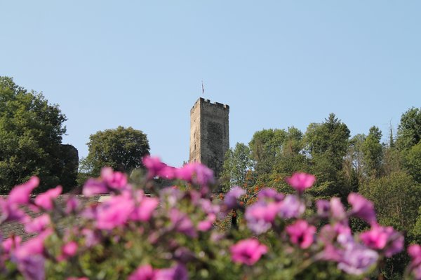 Ein historischer Turm vor einer Kulisse aus bunten Blumen und blauem Himmel