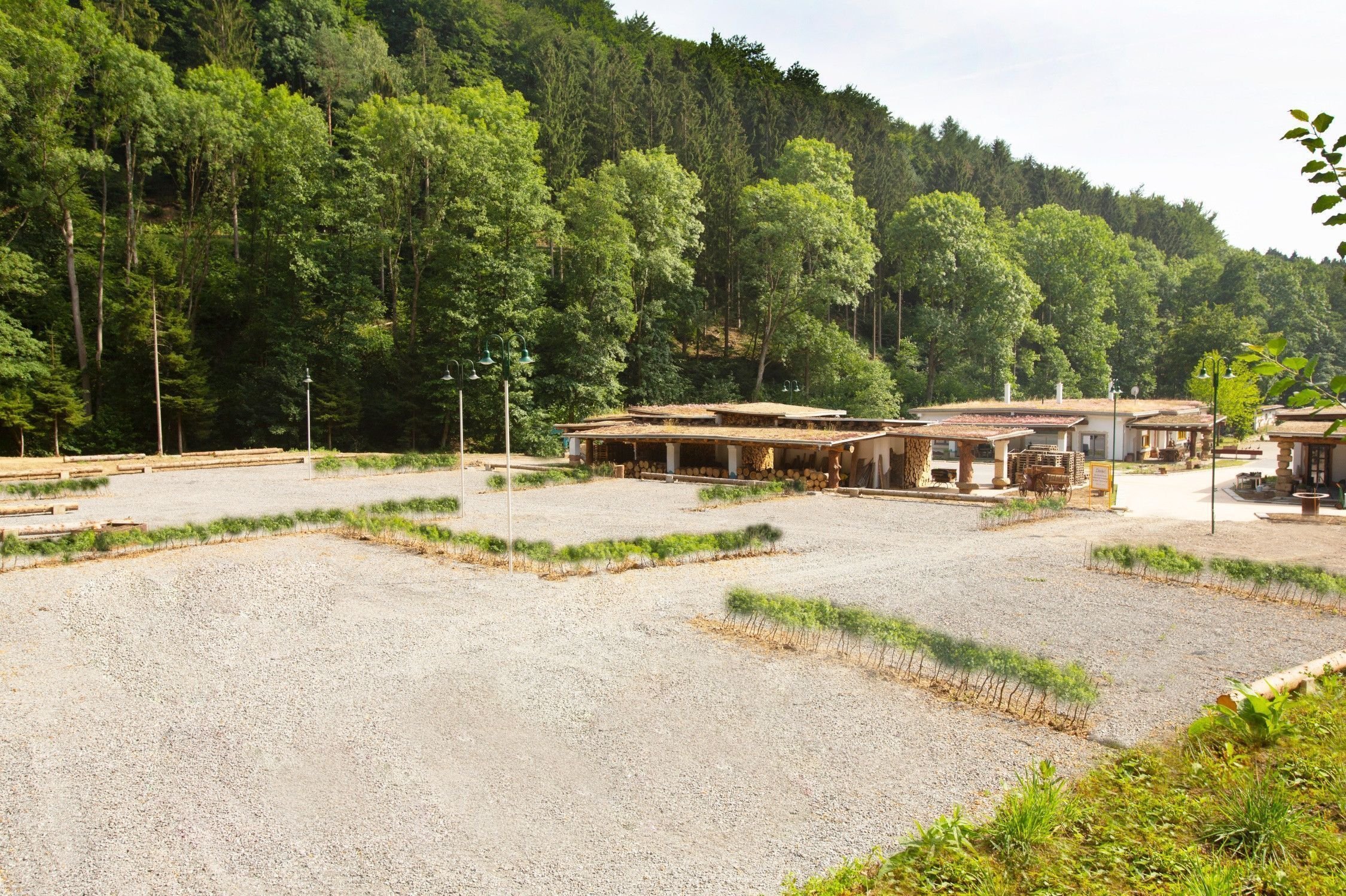 Baustelle oder ungenutzte Fläche in einer bewaldeten Umgebung