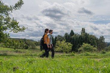 Zwei Personen gehen durch eine malerische, bewachsene Umgebung