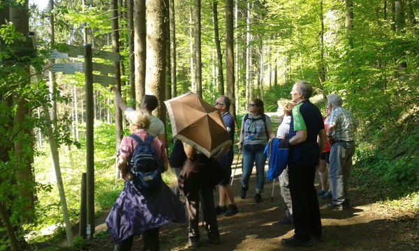 Eine Gruppe von Wanderern im Wald, die sich Karten anschaut.