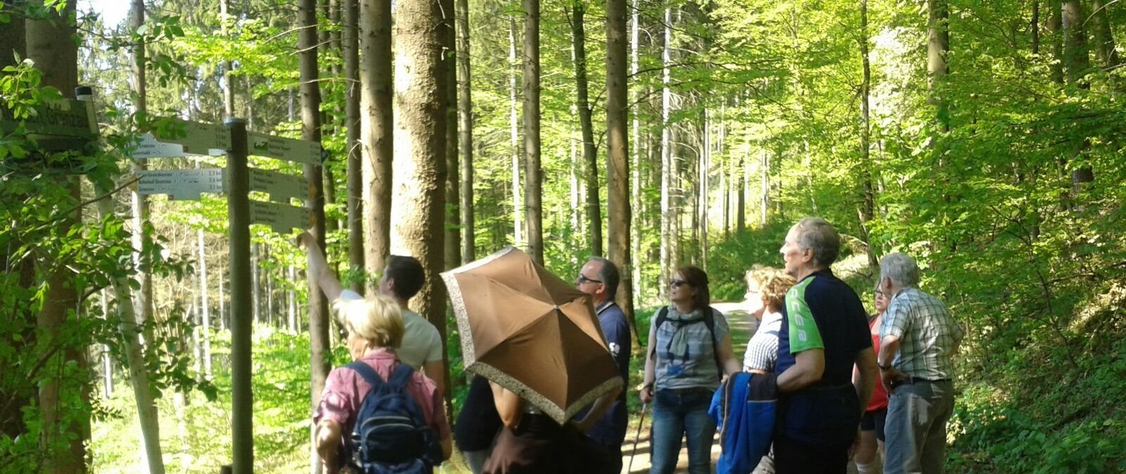 Eine Gruppe von Wanderern im Wald, die sich Karten anschaut.