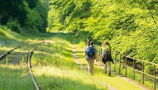 Zwei Personen gehen auf einem schmalen Weg inmitten von Bäumen und Wiese
