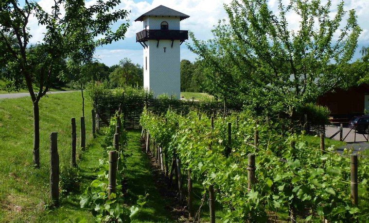 Landschaft mit Weinreben, Aussichtsturm und bewachsenen Bäumen