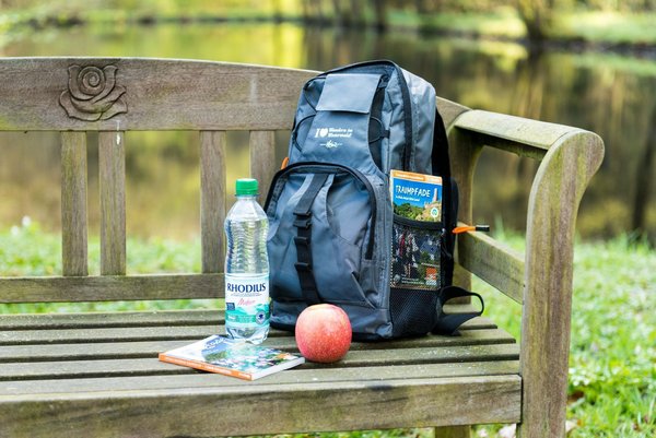 A backpack, water bottle, and an apple on a wooden bench near a pond.