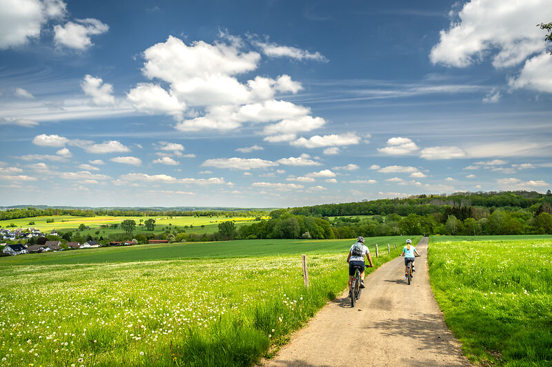 Zwei Radfahrer fahren auf einem Feldweg unter einem blauen Himmel