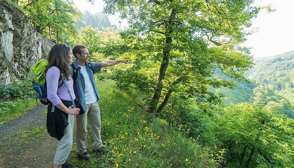 Zwei Wanderer halten an einem Aussichtspunkt in der Natur an